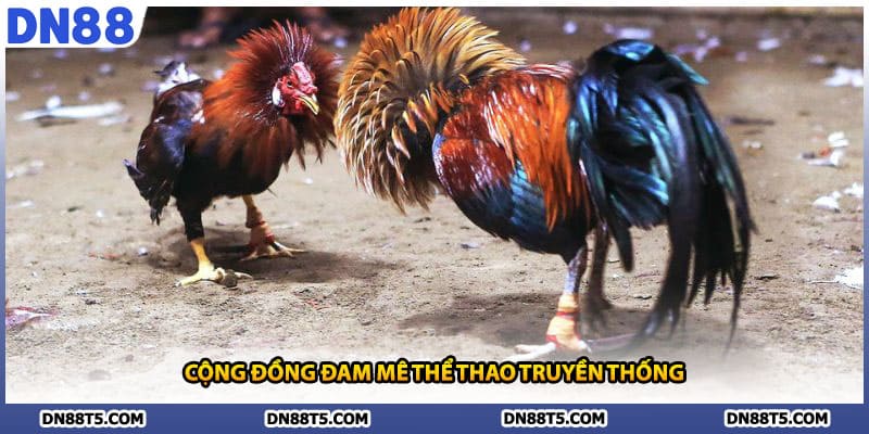 Cộng đồng đam mê thể thao truyền thống